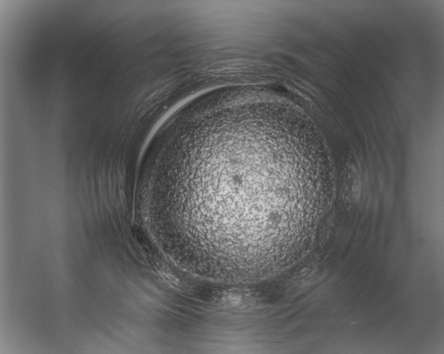 X0000057100420200509121013