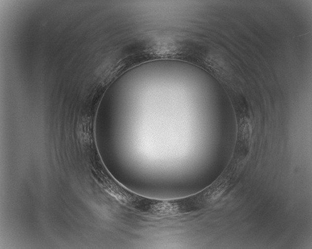 X0000057100421200509121013