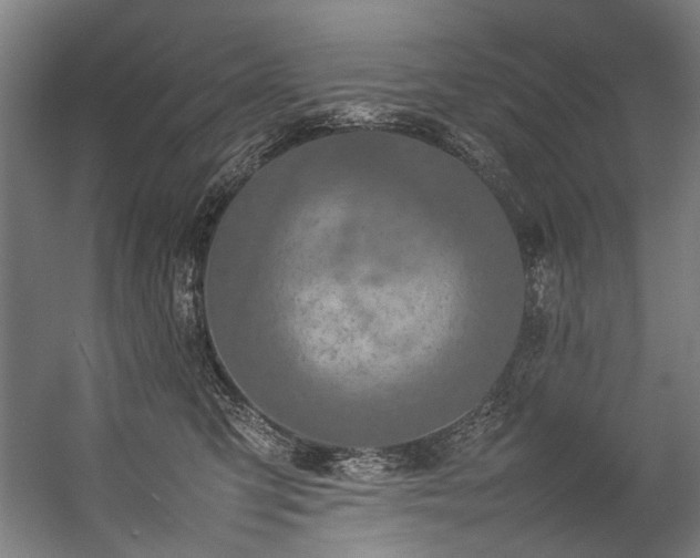 X0000057100423200509121013