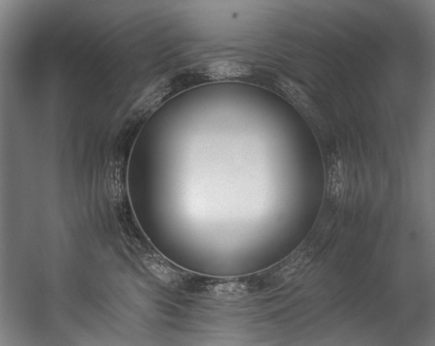 X0000057100426200509121013