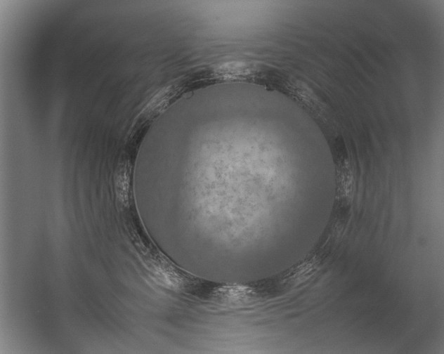 X0000057100427200509121013