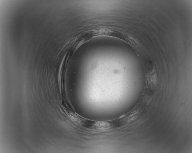 X0000057100429200509121013