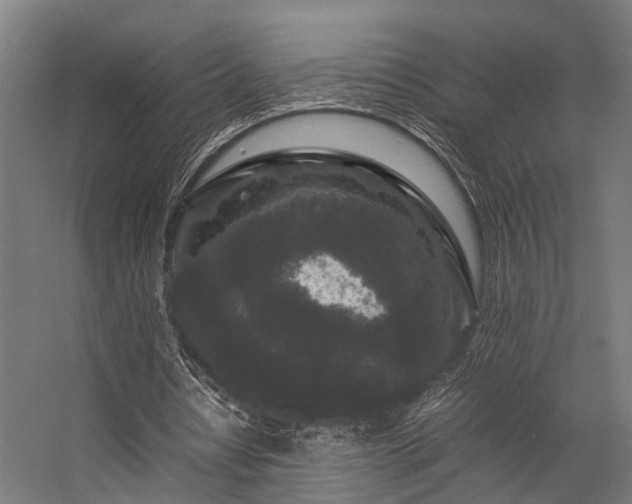 X0000057100434200509121012