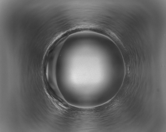 X0000057100436200509121012