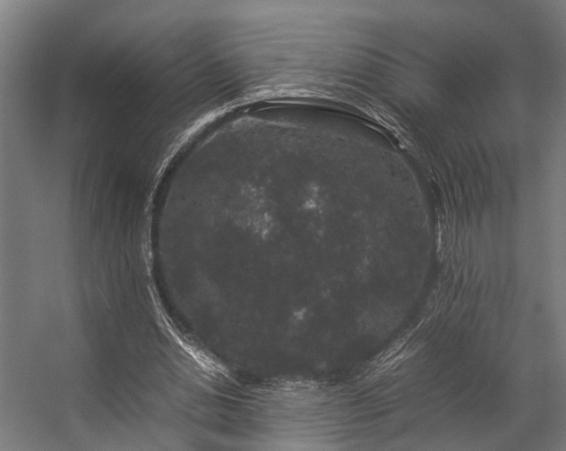 X0000057100438200509121012