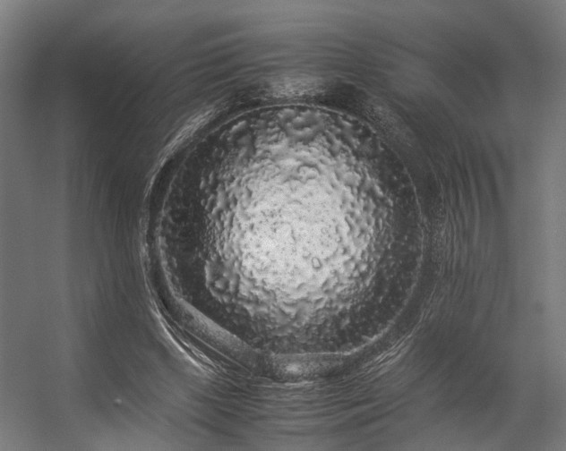 X0000057100443200509121012