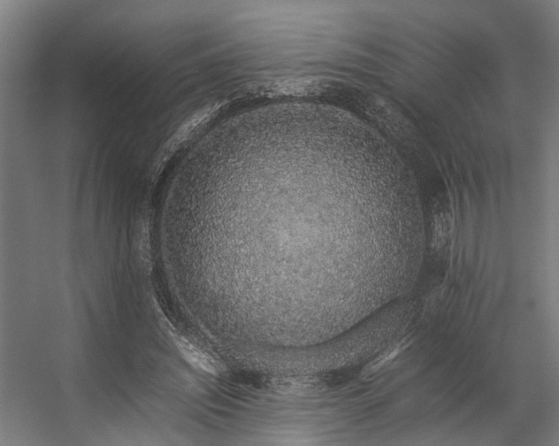 X0000057100444200509121012