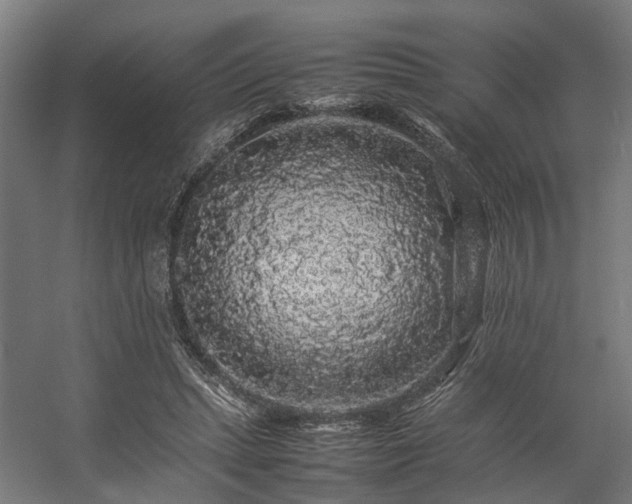 X0000057100447200509121012