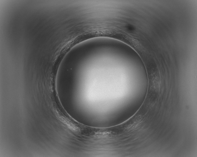 X0000057100450200509121012