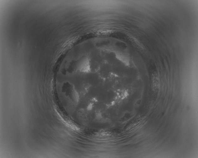 X0000057100451200509121012