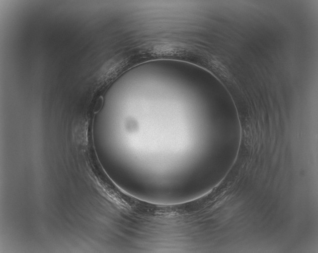 X0000057100454200509121012