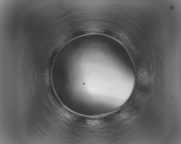 X0000057100457200509121012