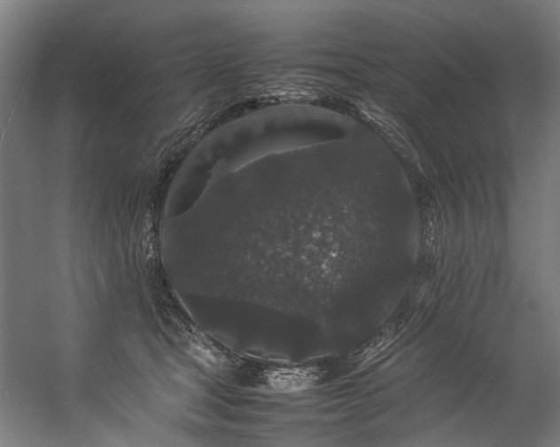 X0000057100465200509121013