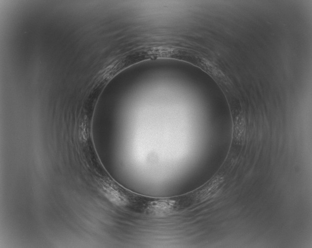 X0000057100474200509121013