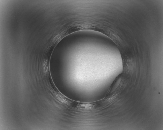 X0000057100478200509121013