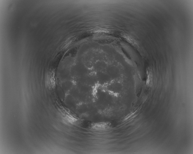 X0000057100479200509121013