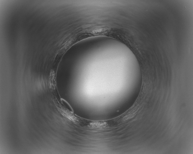 X0000057100480200509121013