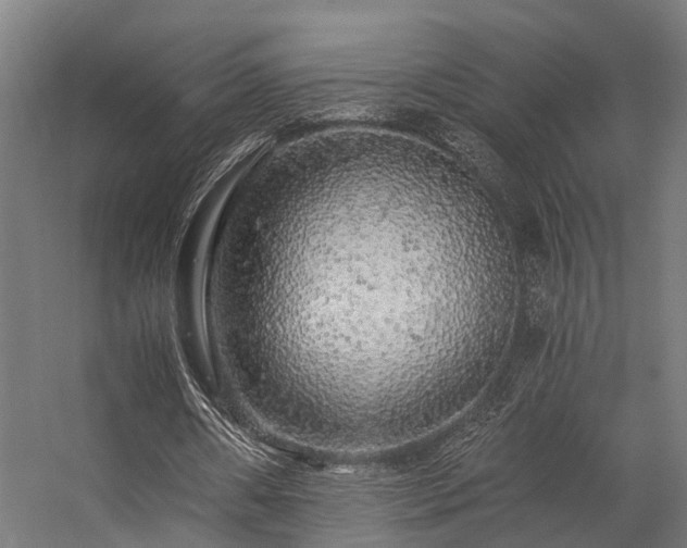 X0000057100482200509121012