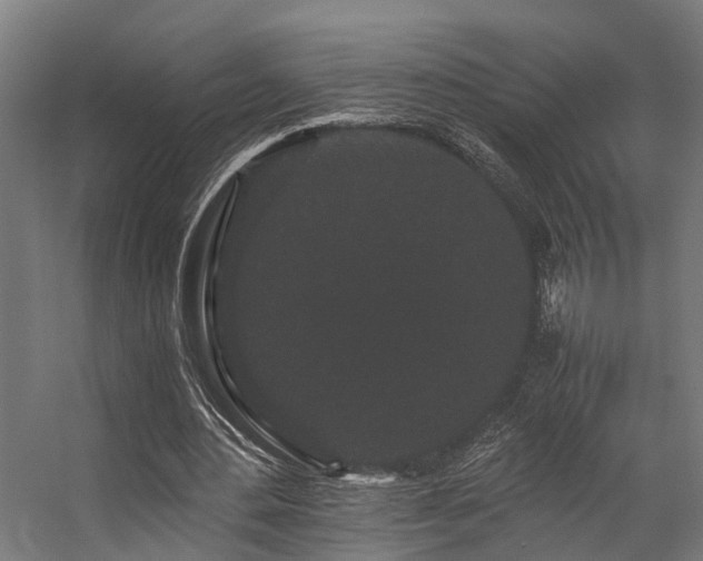 X0000057100484200509121012