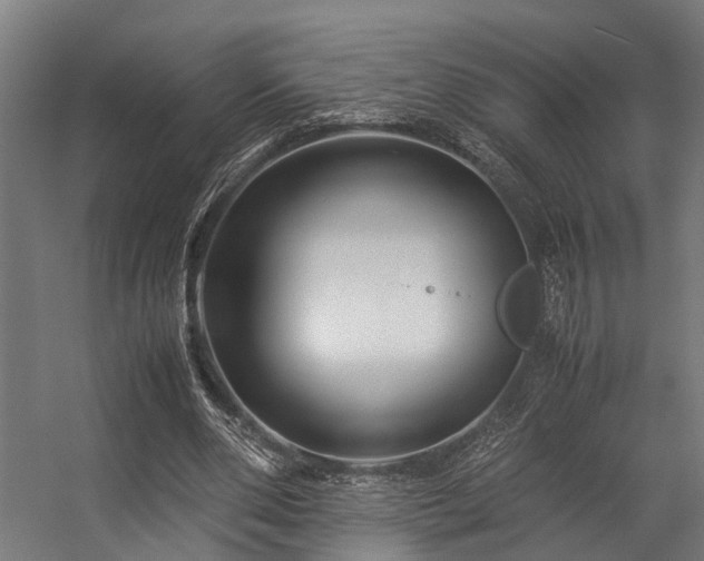 X0000057100486200509121012