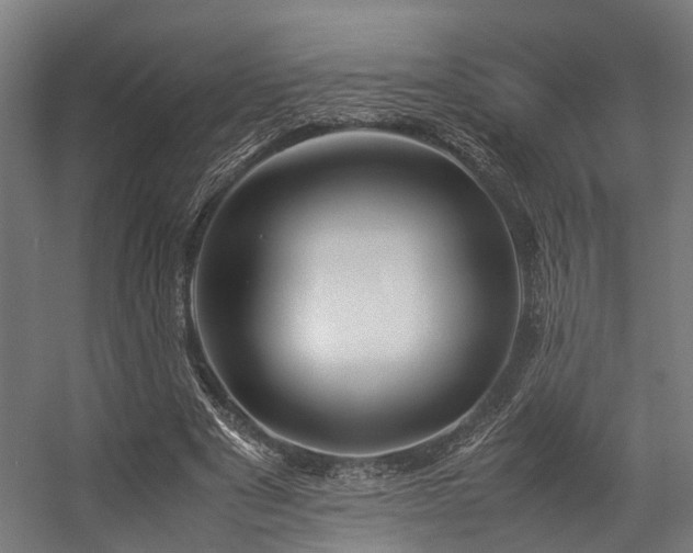 X0000057100489200509121012