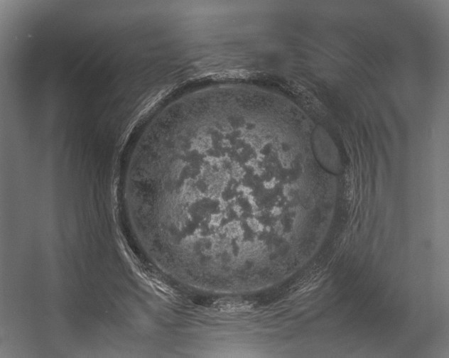 X0000057100491200509121012