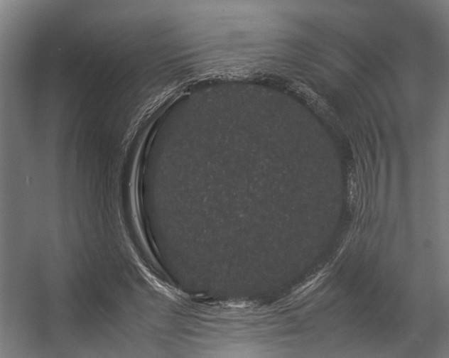 X0000057100493200509121012