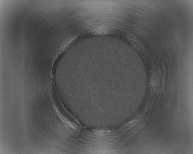 X0000057100494200509121012