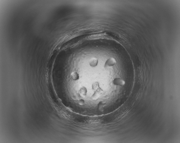 X0000057100495200509121012