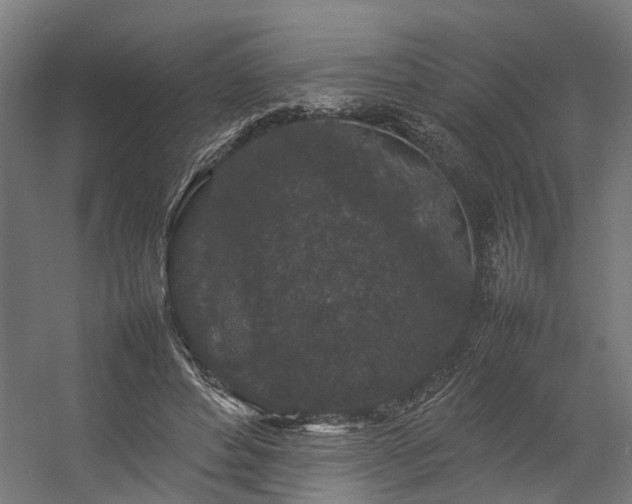 X0000057100496200509121012