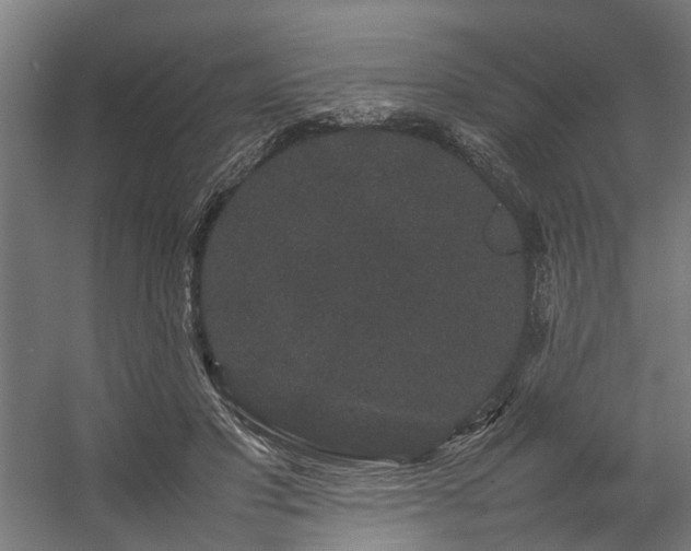 X0000057100501200509121012