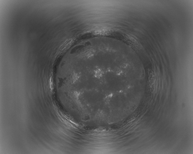 X0000057100502200509121012