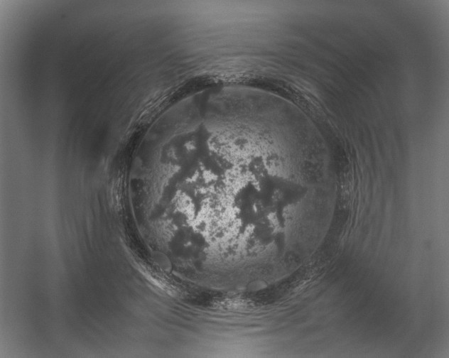 X0000057100503200509121012