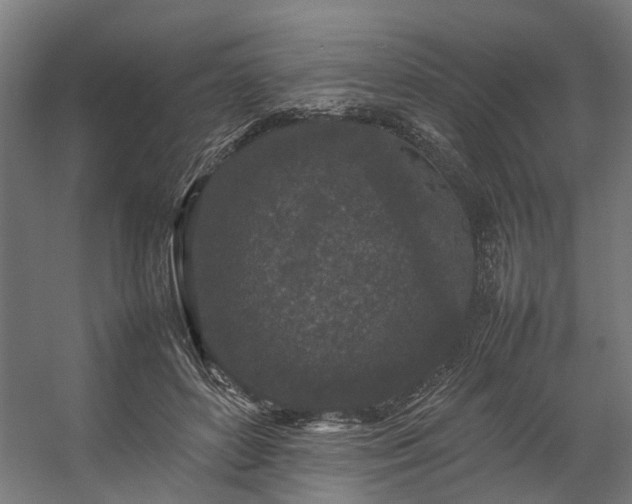 X0000057100504200509121012