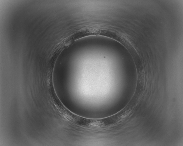 X0000057100505200509121012