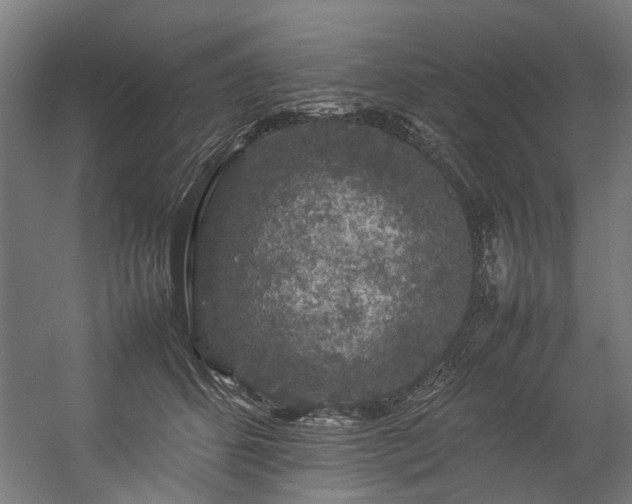 X0000057100512200509121011