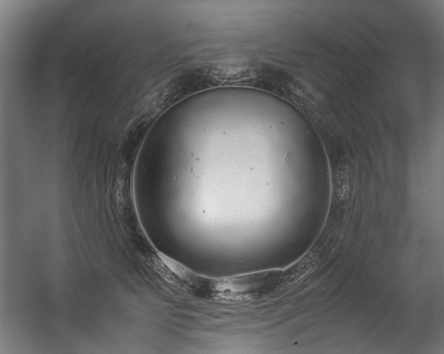 X0000057100515200509121011