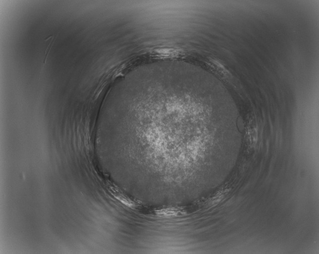 X0000057100516200509121011