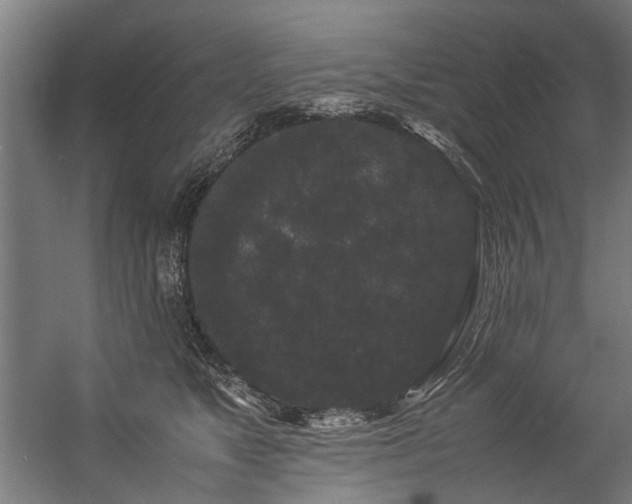 X0000057100517200509121011