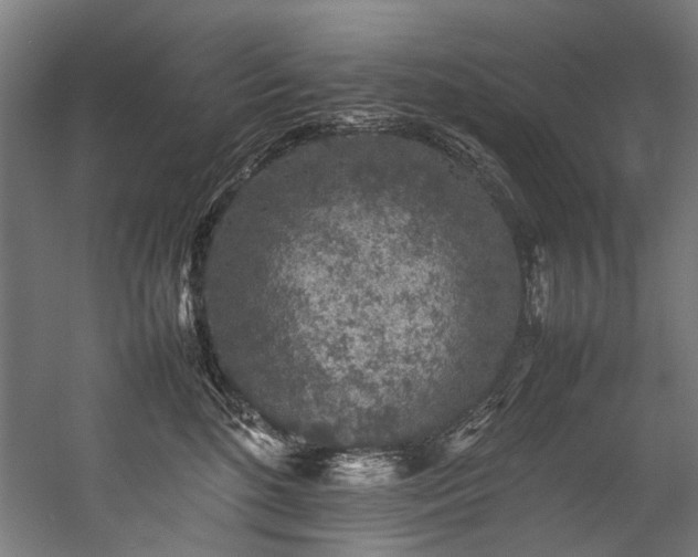 X0000057100520200509121011