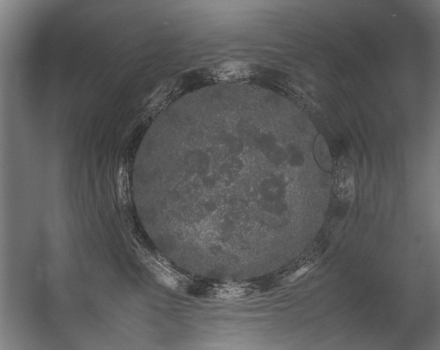 X0000057100523200509121011