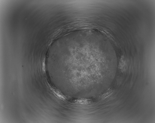 X0000057100524200509121011