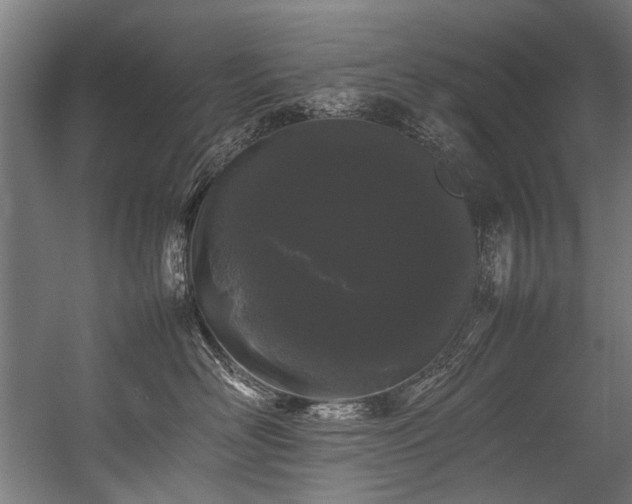 X0000057100526200509121011