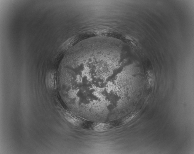 X0000057100527200509121011