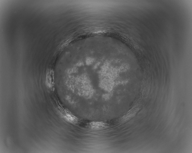 X0000057100528200509121011