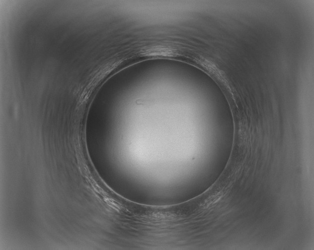 X0000057100529200509121010