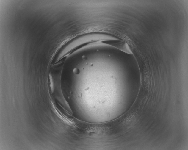 X0000057100530200509121010