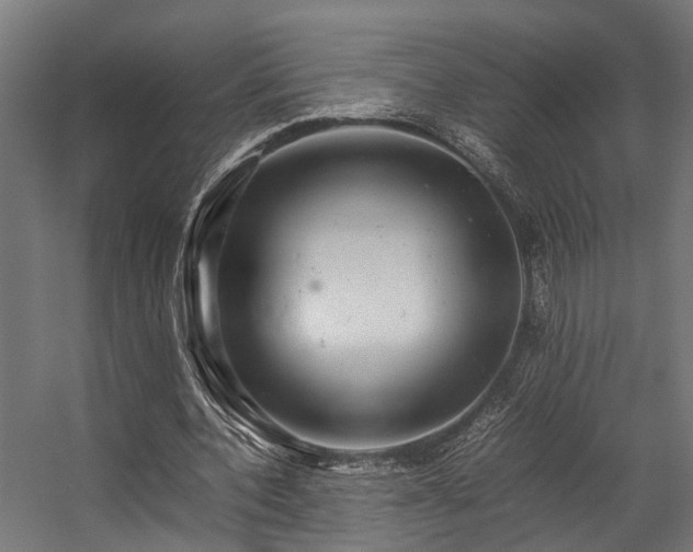 X0000057100532200509121010