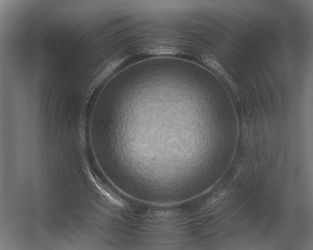 X0000057100533200509121010