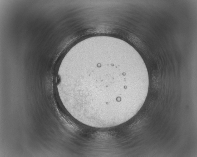 X0000057100534200509121010